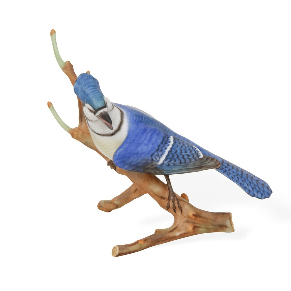Blue jay