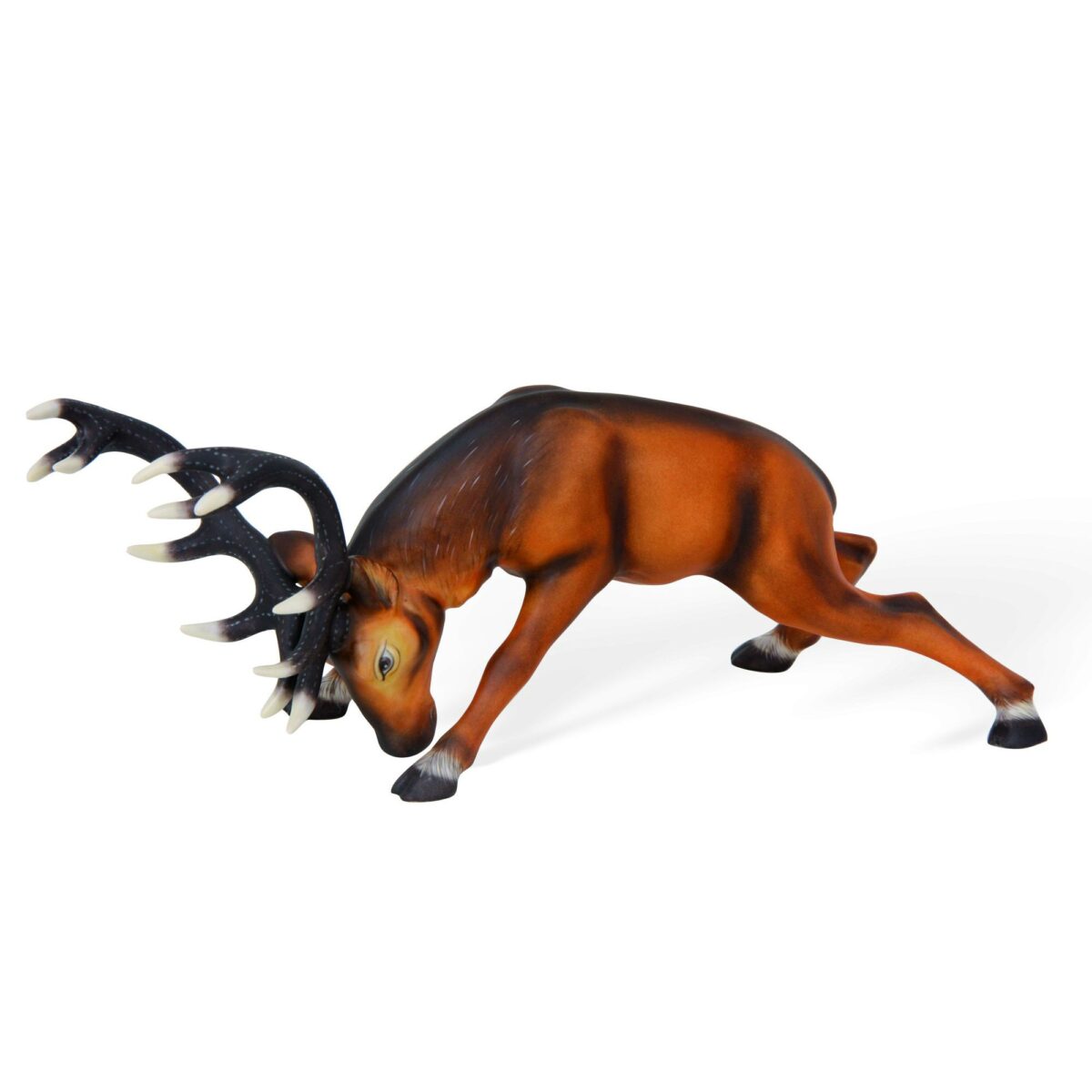Stag, fighting