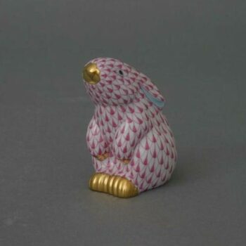 Rabbit, sitting