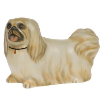 Pekinese palace dog