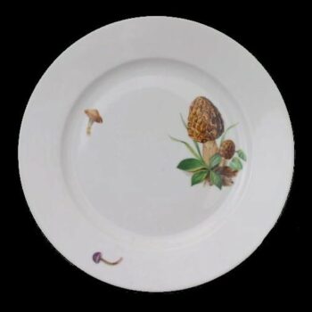 Salad Plate - Mushroom Edition