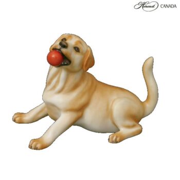 Labrador, sitting, with ball - Assorted Decors