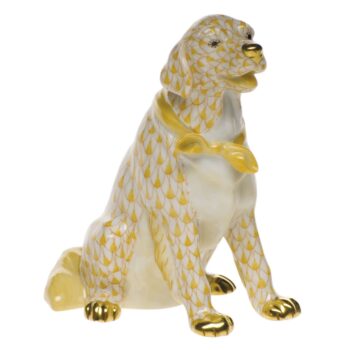 Golden retriever - Assorted Colors