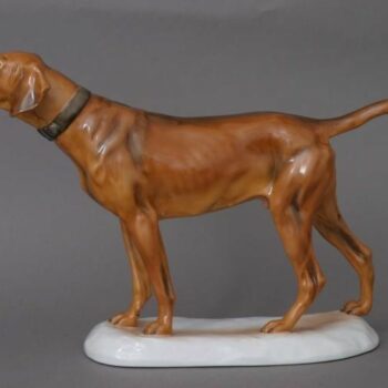 German setter