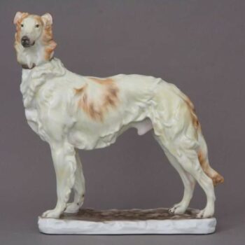 Russian greyhound