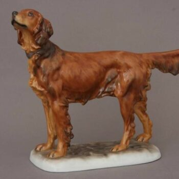 Gordon setter