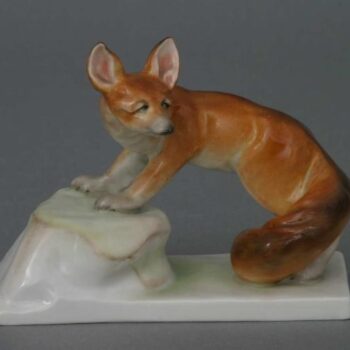 Fox, standing