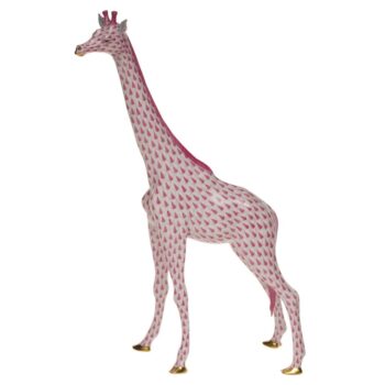 Giraffe, Large