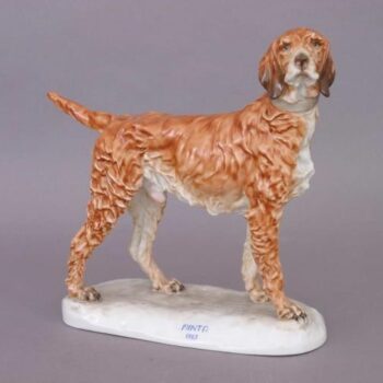German Setter