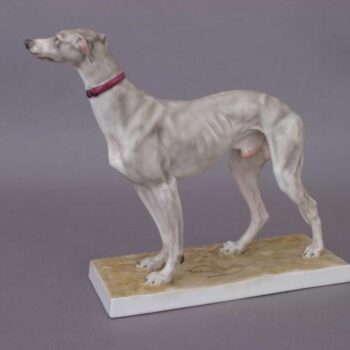 German greyhound
