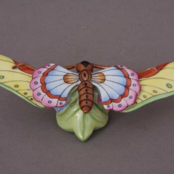 Long-Winded Butterfly