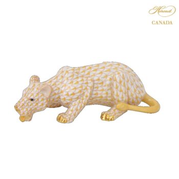 Lioness drinking - Fishnet Red
