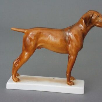 Hungarian Vizsla - Natural