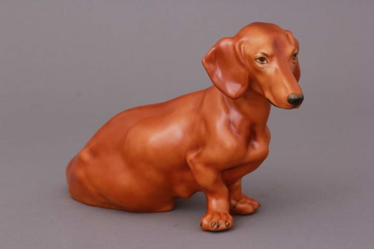 Dachshound, sitting
