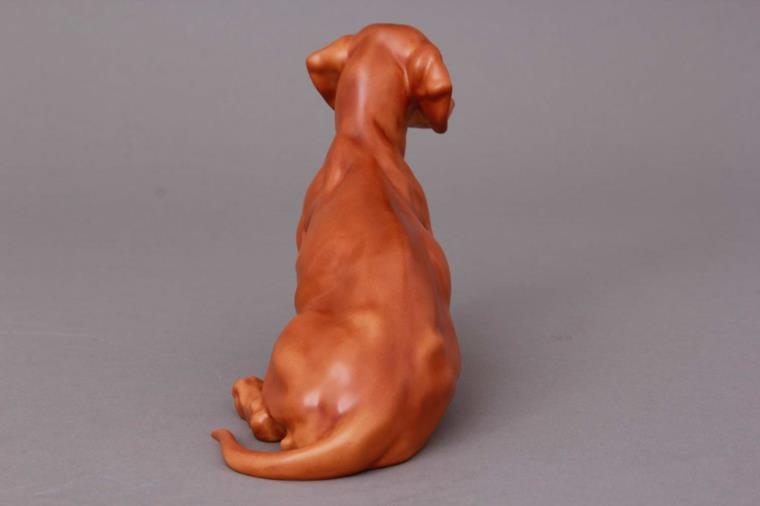 Dachshound, sitting